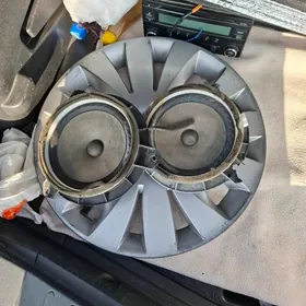 kolonka carollanky zawodskoy