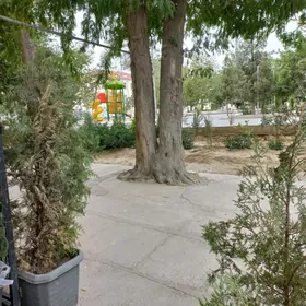 Satlyk Eyesinden Full/ От хозя