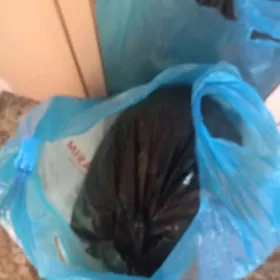 вещи на девочку