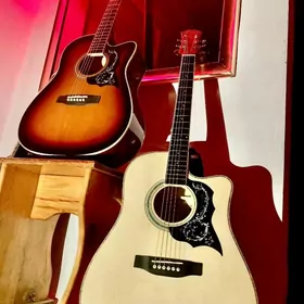 ELEKTRO AKUSTİK GİTARA KOMPLEK