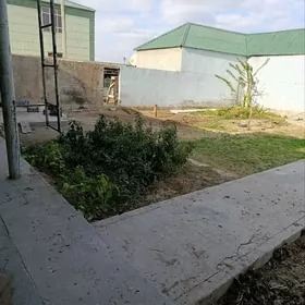 Änew 6sotka 3kom plan