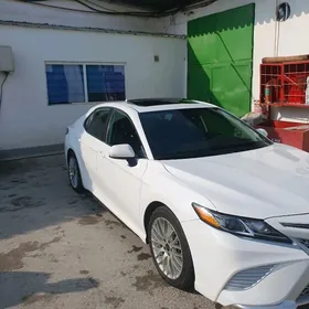 Toyota Camry 2019