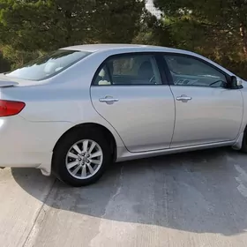 Toyota Corolla 2008