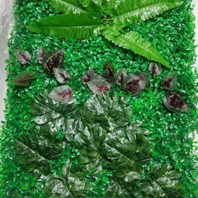 Emeli otlar, moh, травы искуст