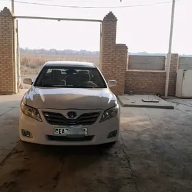 Toyota Camry 2010