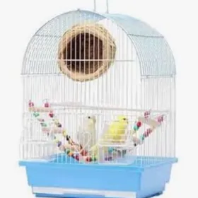 popugay gus setklary melary