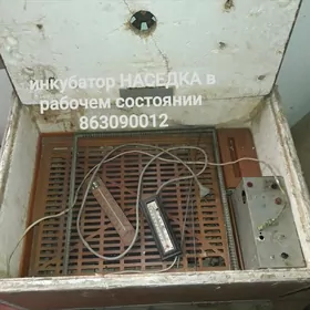 инкубатор НАСЕДКА