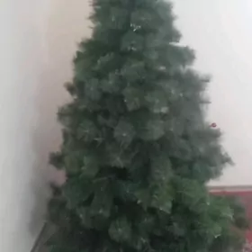 ÿolka yoka яолка