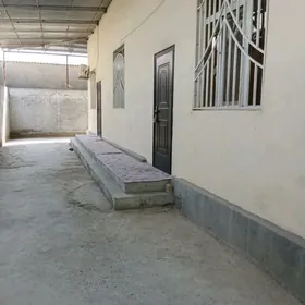 coganly howly plan satlyk