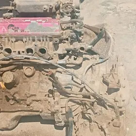 carona diwigitel karopga 1.8