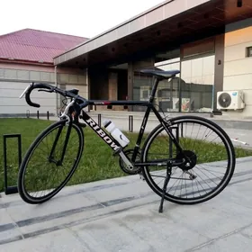 тиги́р спорт