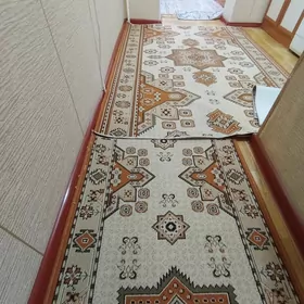 Haly daroshka iranyn klimi