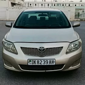 Toyota Corolla 2010