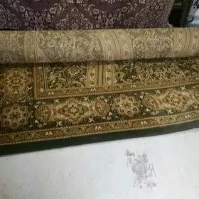 Haly ini 3 boyy 6 Akmaral firm