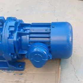 MOTOR+REDUKTOR 0.75 KW