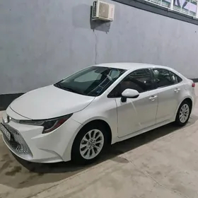 Toyota Corolla 2020