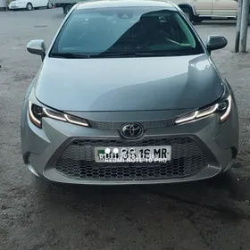 Toyota Corolla 2022