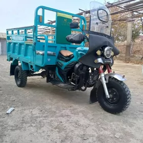 Fekon FK200-14G 2024