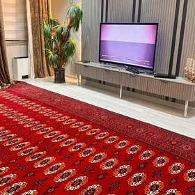 Gyzylarbat El Haly 7.50x4 M