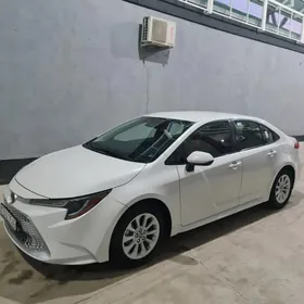 Toyota Corolla 2020
