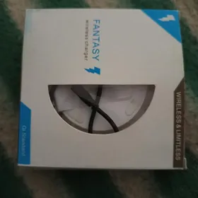 Bezprawodnoy zaryatnik