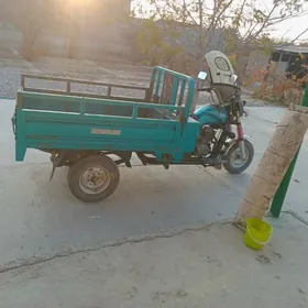 Fekon FK200-14G 2022