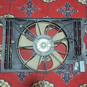 Corolla lopster 10-12 model