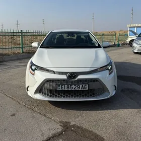 Toyota Corolla 2020