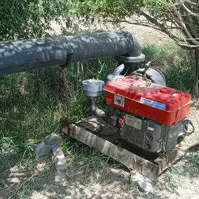 насоз 250 лик таза тайар