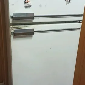 Bryusa orsuñ haladinligi