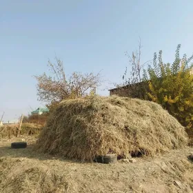 2 тележка ёрунжа.