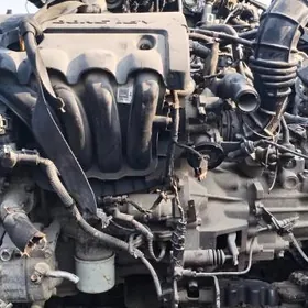 Hyundai Elantra  matory