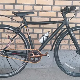 Tigir Arginal welsapet