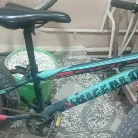 йагдай гови коп сурлмедик