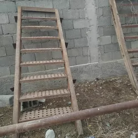 басганжак merdiwan