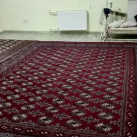 Gunes kotez buzmeyin