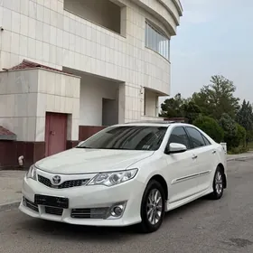 Toyota Camry 2013