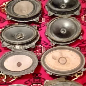 МАШЫН. КОЛОНКАЛАР