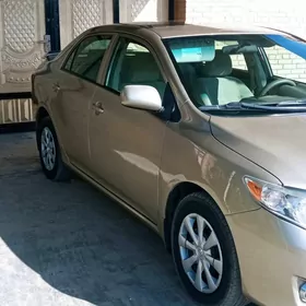 Toyota Corolla 2010