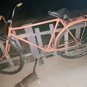 Welsoped tigir towuk ordek gaz