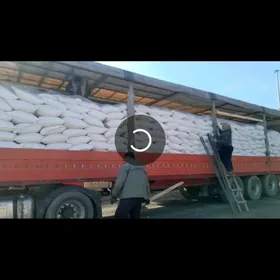 Kogel Euro Trailer 2004