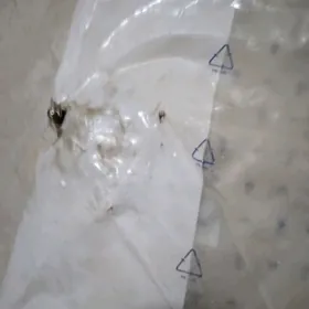 peguot ayna gallyryany