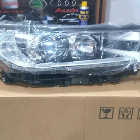 Fara Highlander 2017-2019