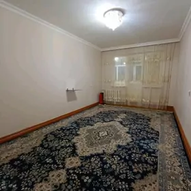 1 ком, Хозяин