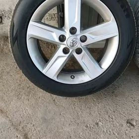 Palta.kemri rodnoy diska