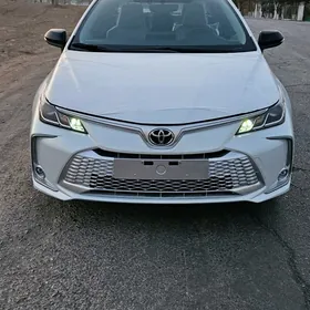 Toyota Corolla 2025