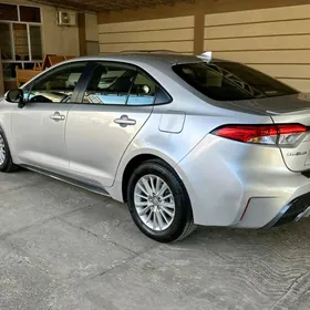 Toyota Corolla 2021