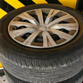 16 lik diska pakriska kalpak