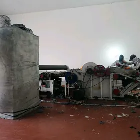 Pagta cykaryan stanok