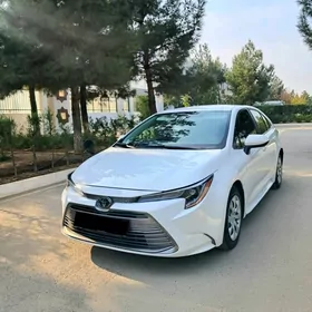 Toyota Corolla 2023